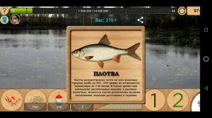 Как поймать Плотву на Карасёвом пруду [АРХИВ] | Реальная Рыбалка