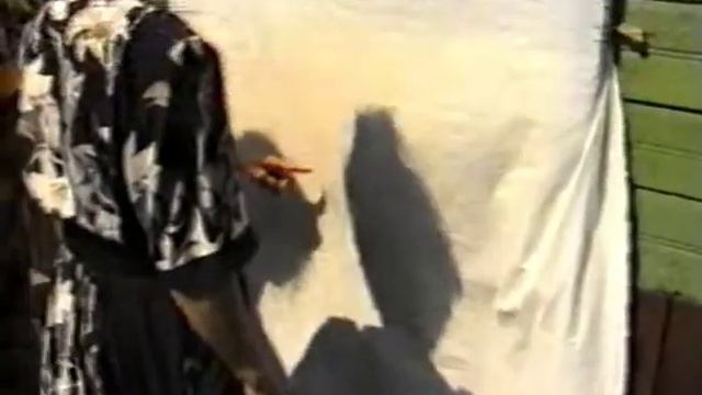 [1999.05.28] СЕМИНАР ПО ДРЕВНЕЙШЕЙ ИСТОРИИ МИРА И СИБИРИ. А.Хиневич (5 из 5) смотреть онлайн