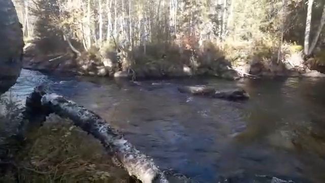 Рыбалка в северной Карелии смотреть онлайн