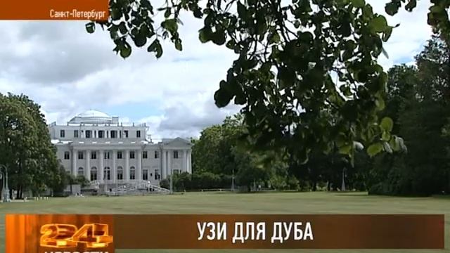 Узи для деревьев в ЦПКиО Кирова