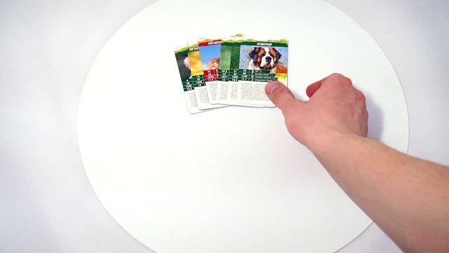 Секреты Планеты: Собаки. Обзор настольной игры от компании Стиль Жизни смотреть онлайн