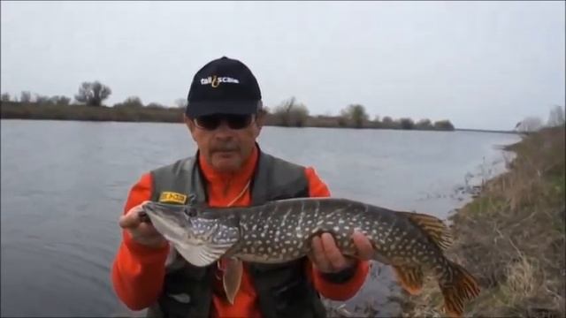 Константин Кузьмин. Подари жизнь щуке. смотреть онлайн