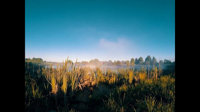 Таймлапс на GopRo смотреть онлайн