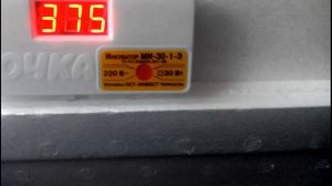 ИНКУБАЦИЯ КУРИНЫХ ЯИЦ//1-7 день. ОВОСКОПИРОВАНИЕ