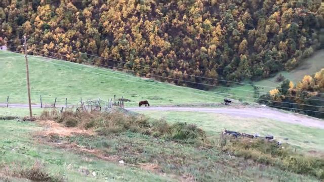 Горное село в Дагестане , лучше любого курорта ?очень добрые люди. смотреть онлайн