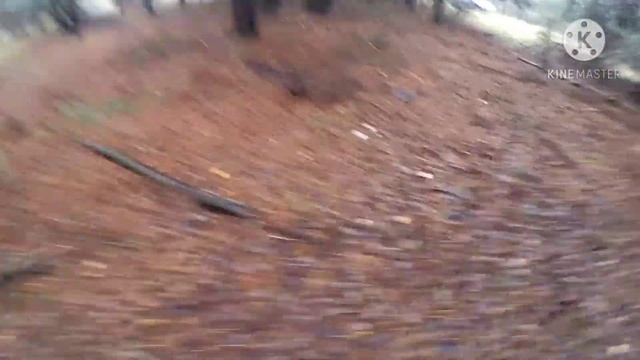 Коп метала нашли монету