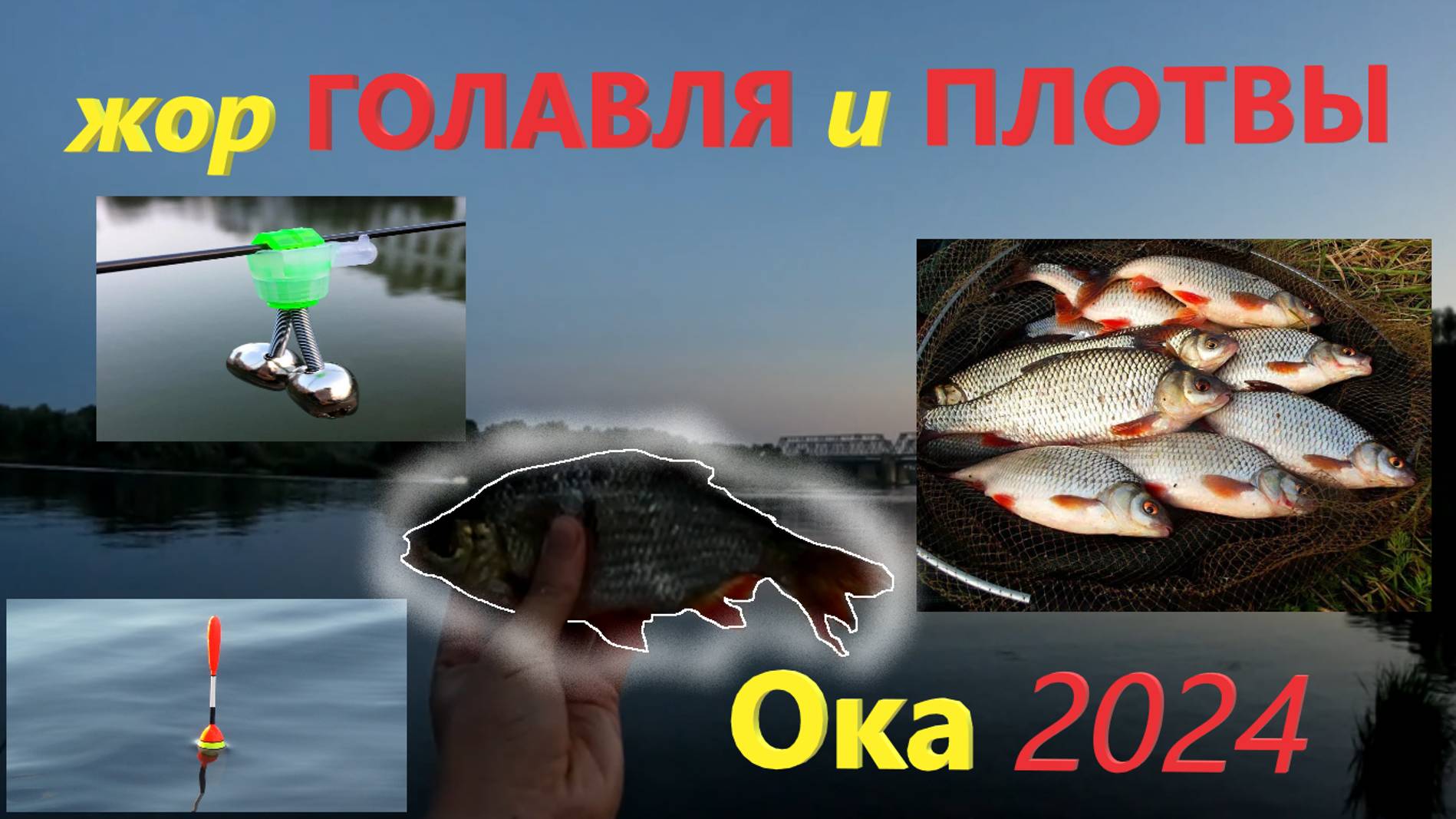 Рыбалка на реке Ока в середине августа 2024! Голавль, плотва, подлещики на поплавок и донки на Оке🎣 смотреть онлайн