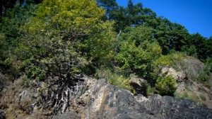 Озеро Болонь Хабаровский край