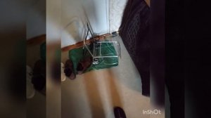 разбираю быстро чугунную батарею