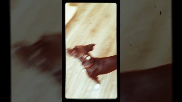 Мой Боб плачет смотреть онлайн