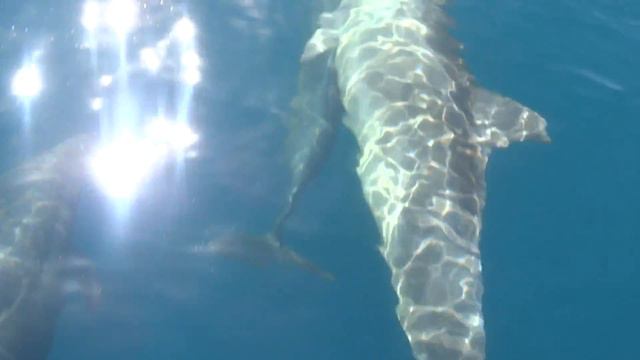 Покоряя Крым май 2013(17) смотреть онлайн