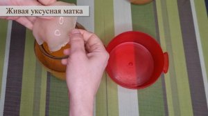 УКСУСНАЯ МАТКА: что это такое и как ее сделать в домашних условиях