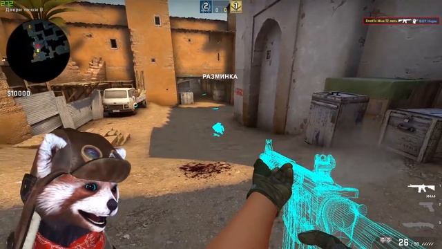 БИНД НА КРУТИЛКУ , АИМ , ВХ , НОУКЛИП в CS:GO | КАК ЗАТРОЛИТЬ ДРУГА смотреть онлайн