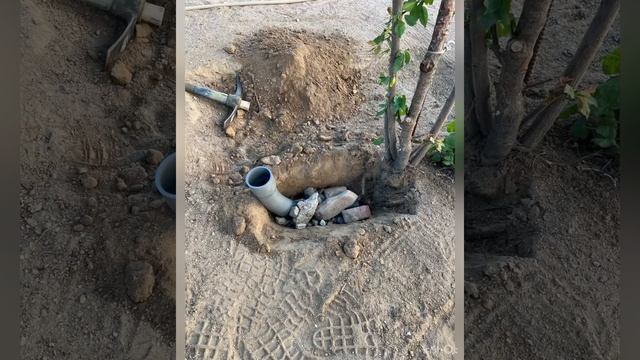 For the Compost or more water for the roots, #pipe #offset #tyga #trees #compost #robert_jr_aguilar смотреть онлайн