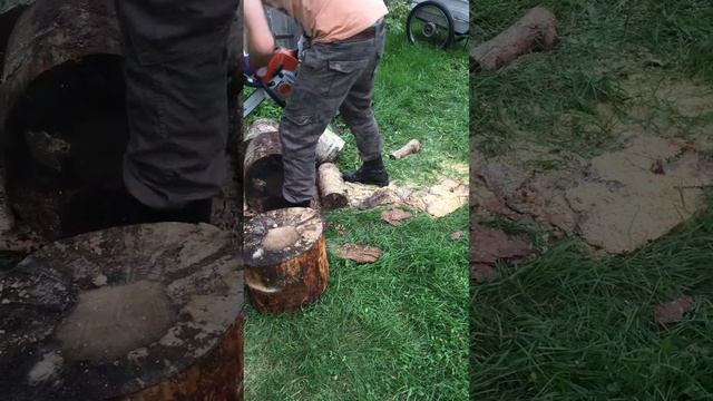 zaģēju ar benzina motora zāģi stihl - sawing with petrol chainsaw Stihl смотреть онлайн