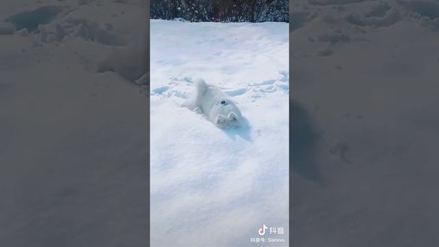 ♡ 18 смотреть онлайн