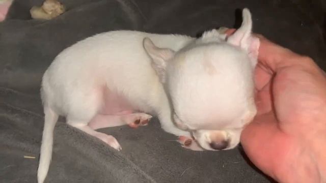 Всем спокойной ночи и приятных снов.