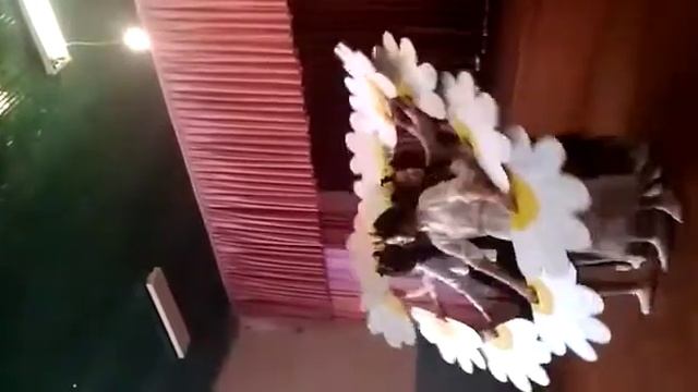 Танец "Ромашка" смотреть онлайн