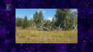 Медведицкая гряда, загадочное аномальное место России.