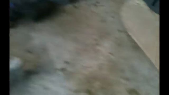 Eldar vs Imperial Guard (6th Ed) 1500pt battle report смотреть онлайн