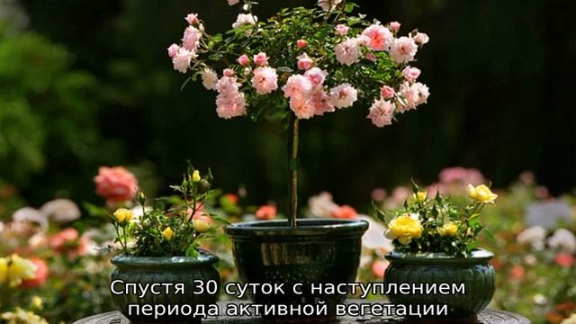 Стройка Событий