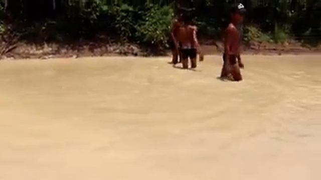 Children catch big python snake in water смотреть онлайн