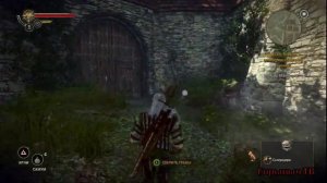 The Witcher 2. Прохождение Часть 17. (Кейран: тенекост)