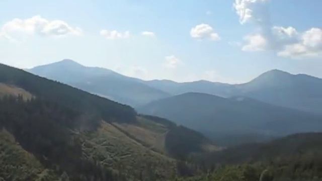 Гриби, Вороненка 26-8-2011.avi смотреть онлайн