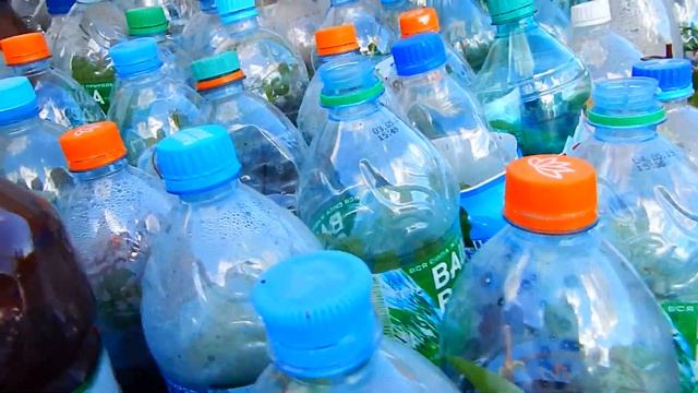 500 ЧЕРЕНКОВ ЗА НЕДЕЛЮ!!! ЧЕРЕНКОВАНИЕ ДЛЯ ЛЕНИВЫХ..ЧЕРЕНКУЮ ГОРТЕНЗИЮ, СКУМПИЮ, ГИБИСКУС.. смотреть онлайн