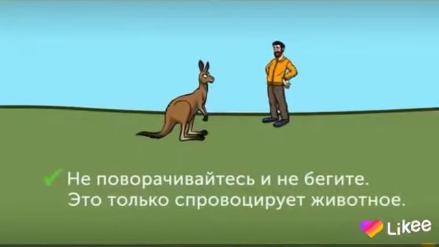 Что делать если напала акула-кингуру:Лев- слон -носорог!!! (1 часть) под смешную музыку смотреть онлайн