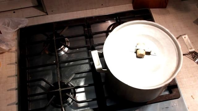 Гусь, тушеный с квашеной капустой смотреть онлайн