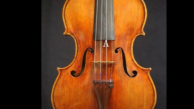 VIOLIN TUNER 2021 смотреть онлайн