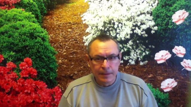 БЕСПЛАТНЫЙ видео курс "С нуля до интернет магазина" смотреть онлайн
