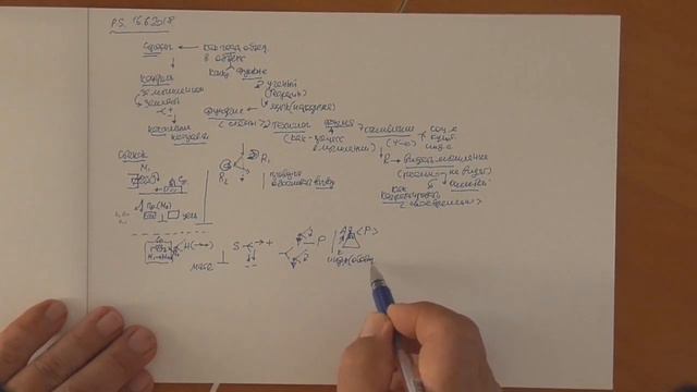 Стратег Подход к материальному миру и мышлению Индукция Теоретик и МРТ Индукция 2018 смотреть онлайн