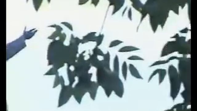 Геннадий Перевалов смотреть онлайн