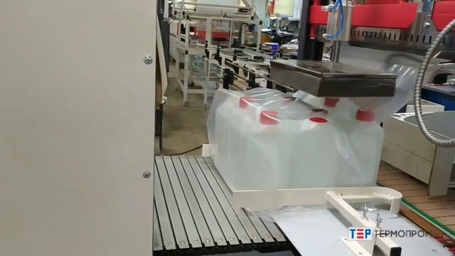 Упаковка канистр, группа 2х2 - машина ТМ-1А смотреть онлайн