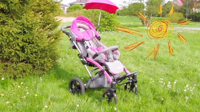 Коляска для детей-инвалидов Мева (Mewa MyWam) смотреть онлайн