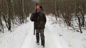 Загонная охота на кабана и касулю 27.12.2020.