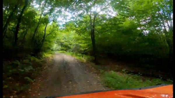 PLANET P PROJECT - JOIN THE PARADE