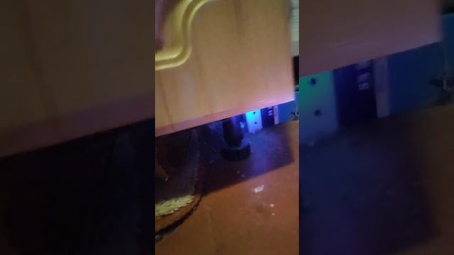 Что делать если к вам домой запрыгнула лягушка | Лягушки дома смотреть онлайн