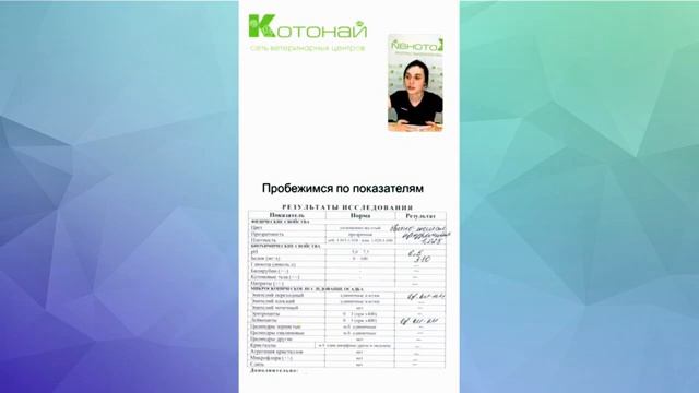 советы ветеринара Как лучше собрать анализ мочи у собак и кошек