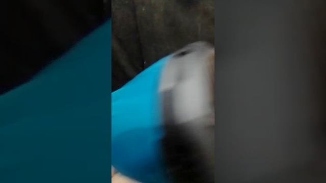 краскопульт аккумуляторный 21v смотреть онлайн