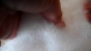 Как набить подушки СИНТЕПУХОМ своими руками Сколько нужно наполнителя  Какую ткань использовать