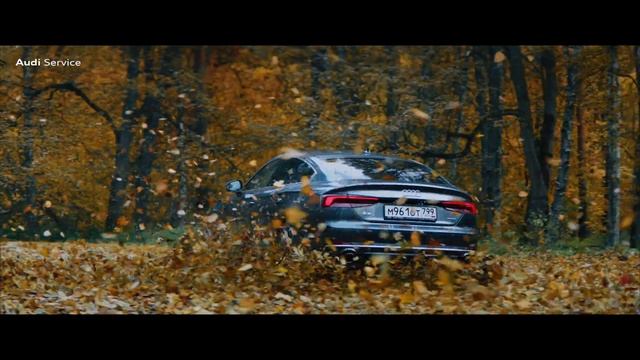Осени хватит на всех. Audi. смотреть онлайн