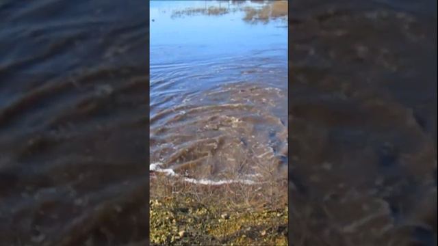 Паводок. Вода прибывает! смотреть онлайн