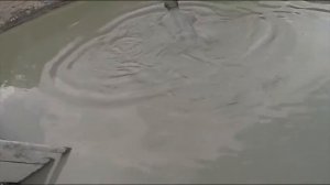 купание в грязевом вулкане