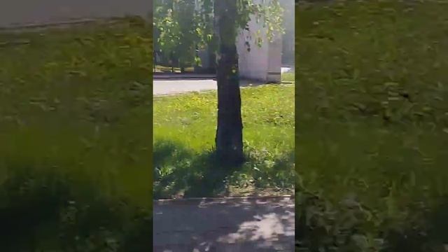 20 ноября 2023 г.