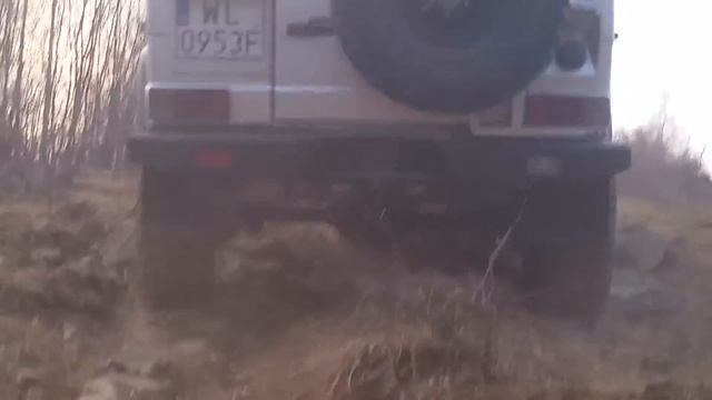 Geländewagen G461 WOLF