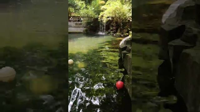 Царь рыба Китай China King fish смотреть онлайн