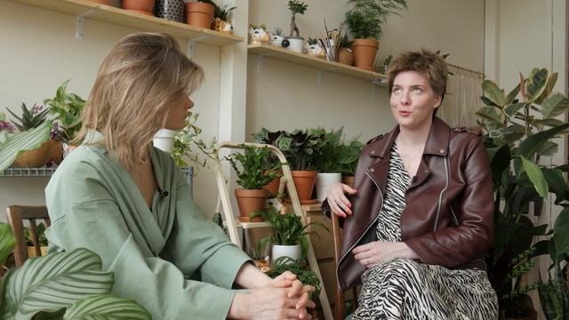 Как стать фитодизайнером? Советы новичкам по выбору растений и уходу от Мадам Фитиль смотреть онлайн